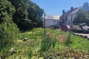 Habitat regeneration project 2024