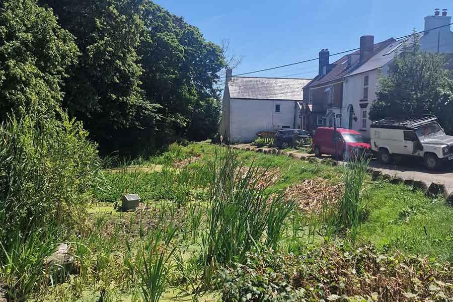 Habitat regeneration project 2024