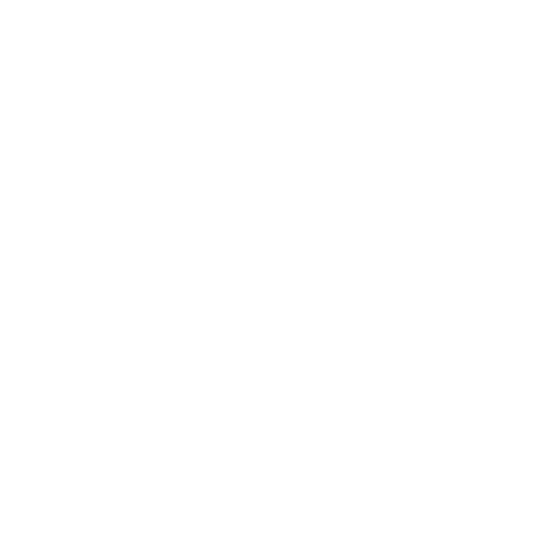 DMS Logo White