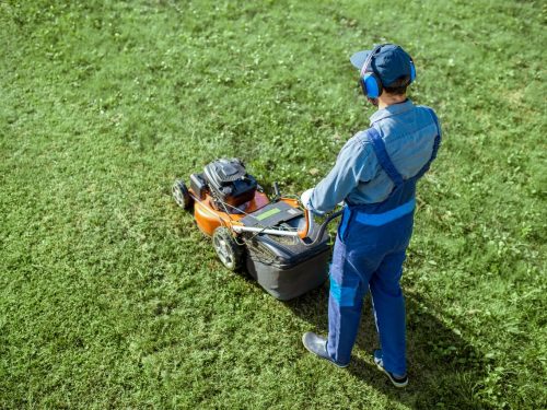 Lawn mowing