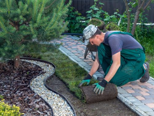 Landscape gardener